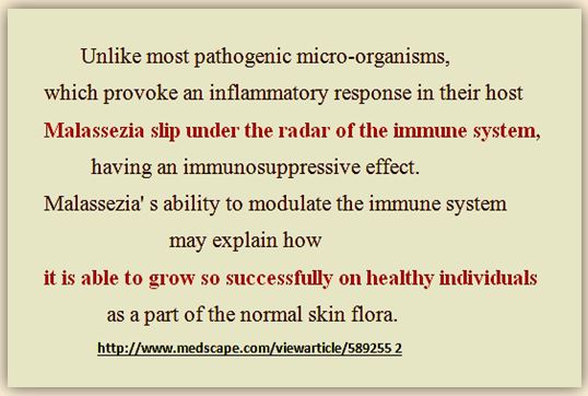 Malassezia Immune bypass - MQ