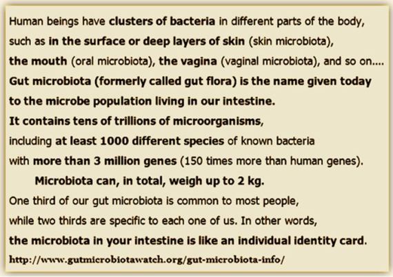 Microbiota 1CO- MQ