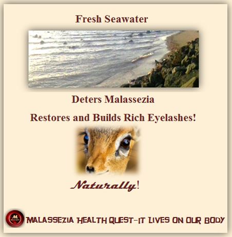 Eyelashes and Seawater-MQ