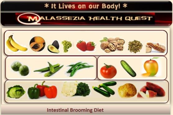Intestinal Brooming Diet -MQ